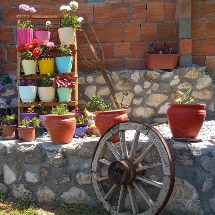 Yesil Kelebek Ev Hotel Kadikoy  Ngoại thất bức ảnh